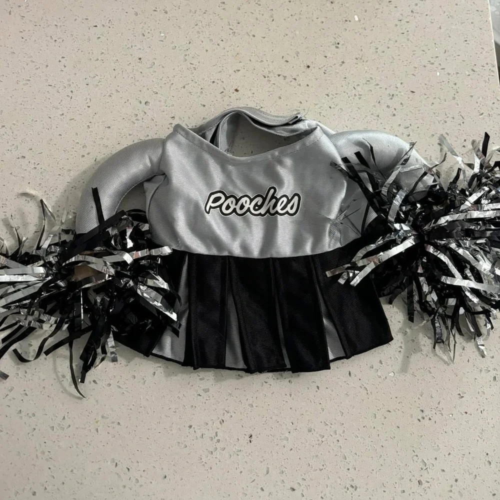 Dog costume cheerleader size S